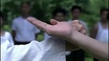 李小龙传奇：李小龙挑战柔术大师，太精彩了
