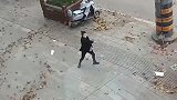 深秋的季节捕获两只小可爱，在大风中尽情享受