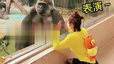 墙里墙外，到底谁给谁表演