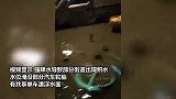 成都半夜惊雷市民被“炸”醒，全市出现111个暴雨点