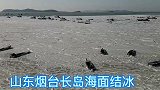 山东烟台迎来极寒天气，长岛海面结冰，渔船被困海中无法捕捞作业