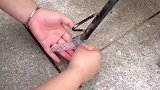 这年头连这玩意都有鞋子穿了