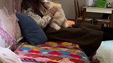 只要姑姑回家后，狗子的本性就暴露了