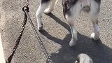 别轻易尝试会后悔的
