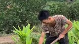 农村搞笑趣事；二娃爆笑相亲，结局太搞笑了