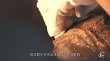大叔22年修复130多件兵马俑，其中一件“中国紫”御手俑叹为观止