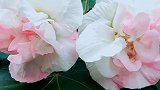 阳光向上，让生活充满希望