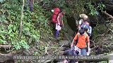 小伙发现大树在“流血”！把它给劈开后，吓得扭头就跑