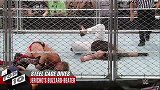 WWE-16年-令人结舌的十大铁笼飞扑 杰里柯人体炸弹砸晕布雷怀特-专题