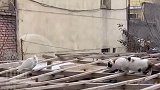 惊不惊喜，意不意外？