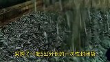 傻子春节期间卖瓜子一个月也能赚5万