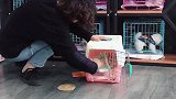 出发去新家吧！️飘吧