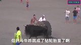 272_这种斗牛方式是谁发明的啊？太坑了吧！