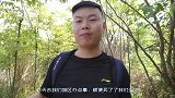 五一长假第二天，村里的桑葚成熟了，让我们一起来享受美味吧