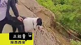 狗狗跟随主人上山，不慎滑下陡坡，危急之际大哥涉险出手相助