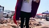 她的丈夫去打猎，小女人在家里做了这件事
