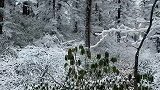 这个季节非常适合来瓦屋山看雪