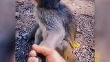 无法超越的操作