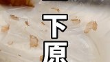 你们点外卖会点豆汁 吗？