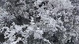 白雪皑皑的天门山鬼谷栈道，太漂亮了