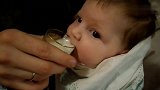 宝宝出生第56天，开始可以用杯子喝奶了，简单方便，帮爸妈省事