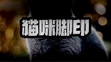 猫咪走路为何只有两个脚印，它后脚会踩前脚踩过的位置