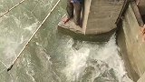 这位大哥为了抓鱼真的是拼了