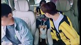小O被吐槽胖啦
