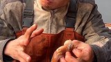 八爪鱼遇上船长大哥，太难了