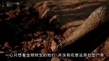 盗墓贼盗墓挖出万年龙骨，吓得拔腿就跑，专家看后发现是绝世宝贝