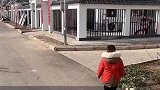 老家的新农村，有饭店有超市