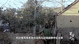 抗战老兵隐居深山60年，晚年出山询问路人，日本到哪了