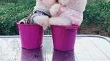 这波狗粮撒的好