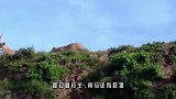 最倔强的羚羊，面对狮子的包围，不甘屈服毅然发起反击