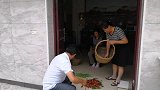 剁椒最简单腌制方法，朱大嫂放5种调料，又香又脆开胃又下饭