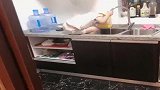 听到厨房有动静，走近看到这一幕，摊上这么一个小祖宗真是服了！