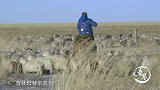 游牧民族的定居生活：牛羊成群的草原人民，如何度过漫长冬天？