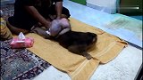 主人让猴子撅着屁股，下一幕将会发生什么