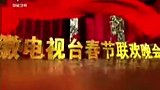 放送文化安徽卫视春晚历年片头（逐年更新）