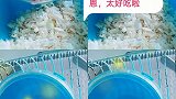 豆子吃货我又来喽，太好吃了，我得多吃点