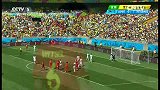 世界杯-14年-小组赛-H组-第1轮-比利时维特塞尔再度远射威胁球门-花絮