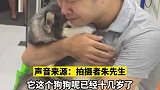 主人不忍爱犬受病痛折磨，无奈帮其选择安乐