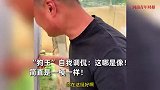 “狗王”撞脸动物园网红丑猴，跨省到现场“认亲”：简直一模一样