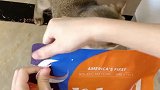 选猫粮你们觉得难吗？又要高蛋白，又要好消化，这款我尽力了～萌宠好物