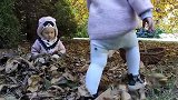 妹妹坐在落叶堆里玩，姐姐拎着篮子把自己摔倒，妹妹赶忙过去安慰