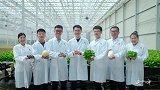 《这十年·幸福中国》中国农业走向智慧化发展