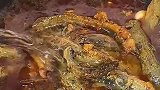 泥鳅炖豆腐怎样做才好吃，今天跟你分享详细做法，太过瘾了