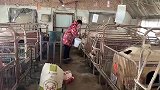大姑姐帮忙拉粪，常输搞笑调侃姐夫开铲车，大妮儿一旁竖起大拇指