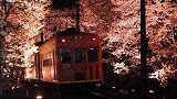 当電車遇上了櫻花，那么花语就是：“我喜欢你” 花还会重新开不同的春来了又来