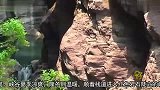河南旅游-20120109-焦作云台山红石峡(温盘峪)